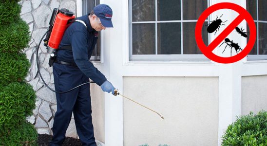 Özkanlar Fare İlaçlama böcek ilaçlama ve haşere kontrolü — ilaclama-tr.com